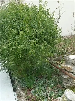 Bed & Breakfast Chambres Roissy-en-France